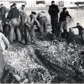 AUDIERNE RETOUR DE PECHE 1939 1945.tif